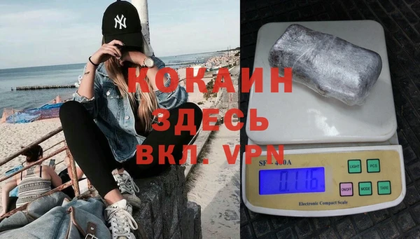 хмурый Лиски