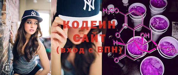 хмурый Лиски