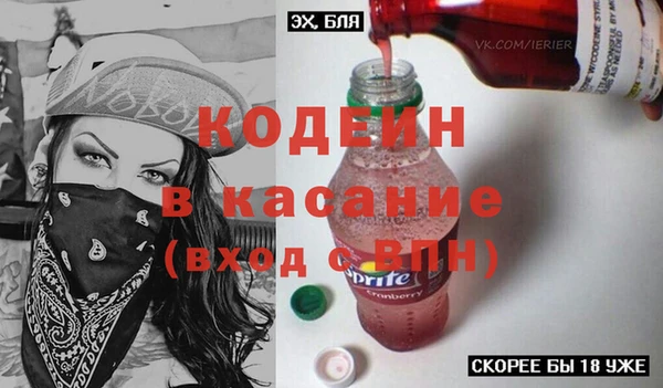 хмурый Лиски