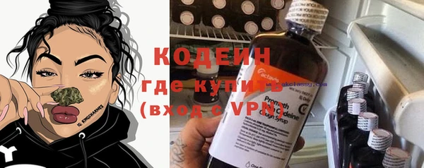 хмурый Лиски