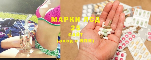 хмурый Лиски