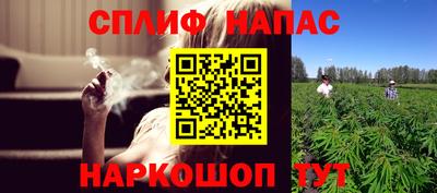 Альфа ПВП Дубна