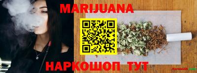 Альфа ПВП Дубна