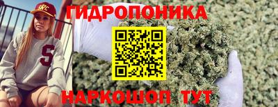 Альфа ПВП Дубна