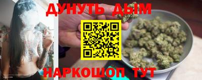 Альфа ПВП Дубна