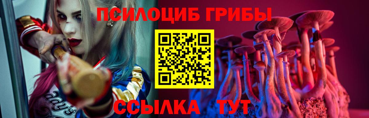 Реутов  Псилоцибиновые грибы прущие грибы  Вход с VPN 